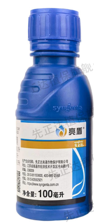 图标
