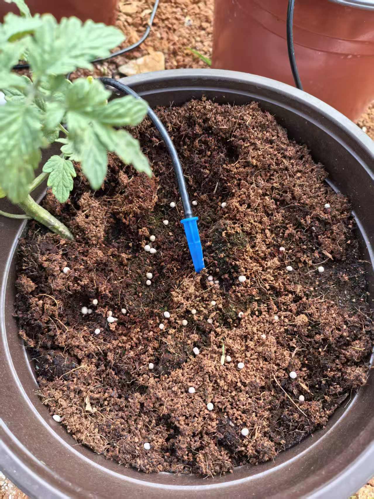 智慧农业